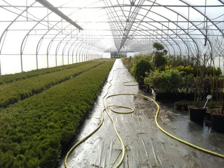 img 20170328 wa0022 scaled