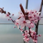 img 20170328 wa0024 scaled