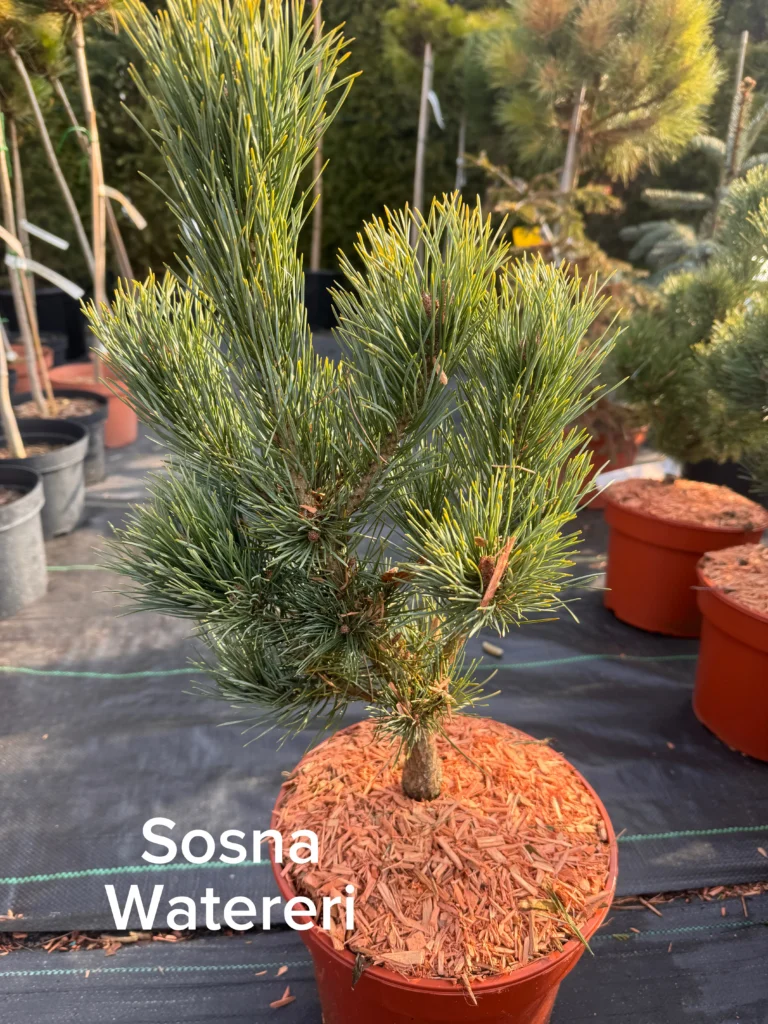 copy f225d751 2d13 4907 97f8 903f92fd37d2 scaled