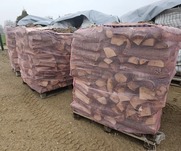 20241203 101947 scaled