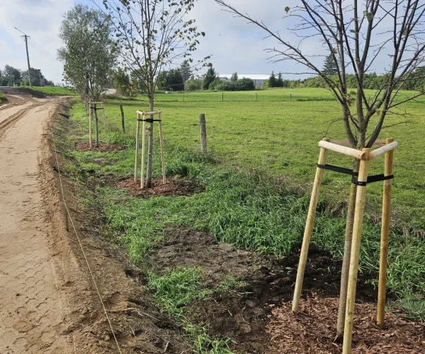 20250920 115517 scaled