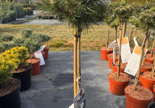 copy a3210be0 29de 41e5 a1e2 9f6d9e3506eb scaled