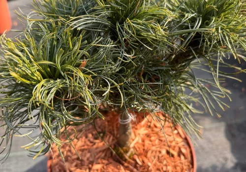 copy c098bf7e dc5f 4d45 b810 d84bd0f5edbe scaled